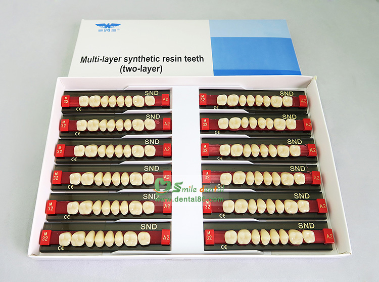 SDT-R202 Two Layer Acrylic Resin Teeth